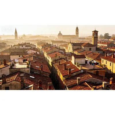 动态-法式屋顶 (18)